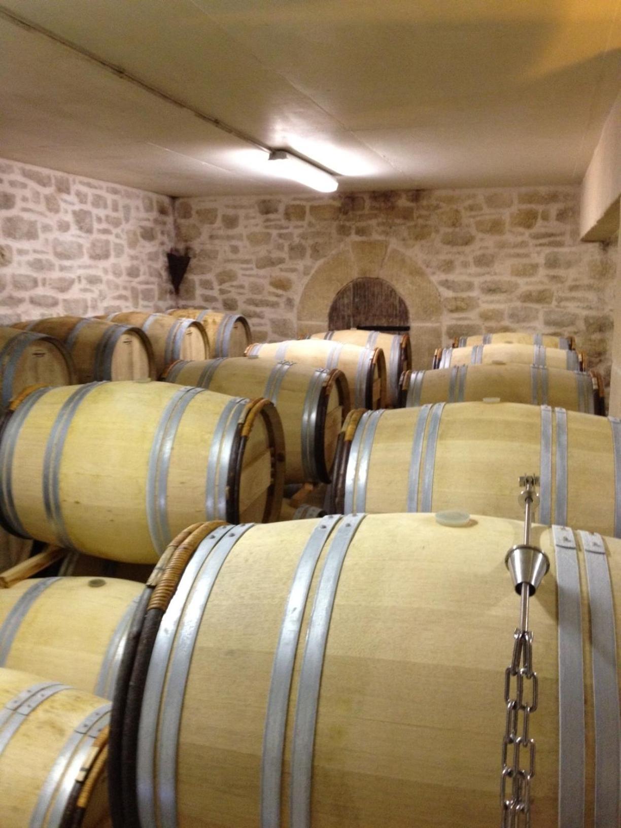 Chateau De Valloubiere Saint-Jean-de-Fos ภายนอก รูปภาพ