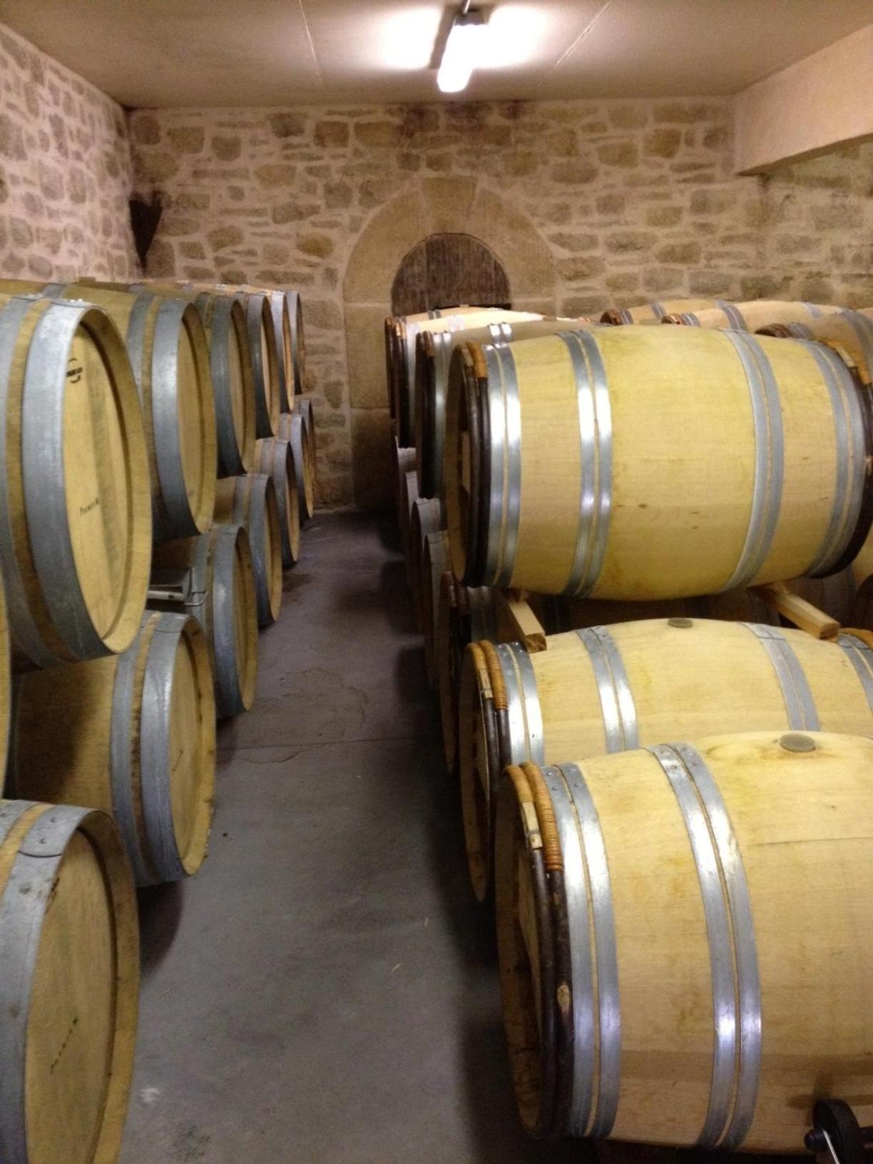 Chateau De Valloubiere Saint-Jean-de-Fos ภายนอก รูปภาพ