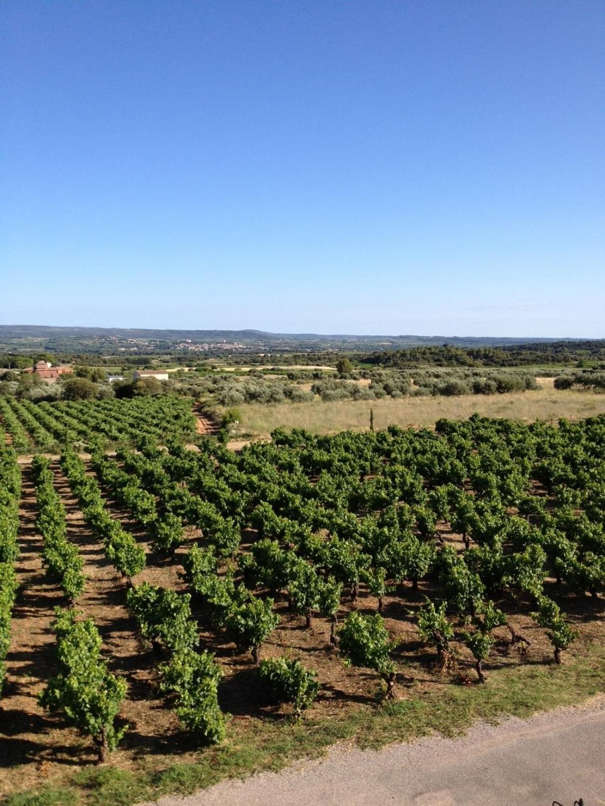 Chateau De Valloubiere Saint-Jean-de-Fos ภายนอก รูปภาพ