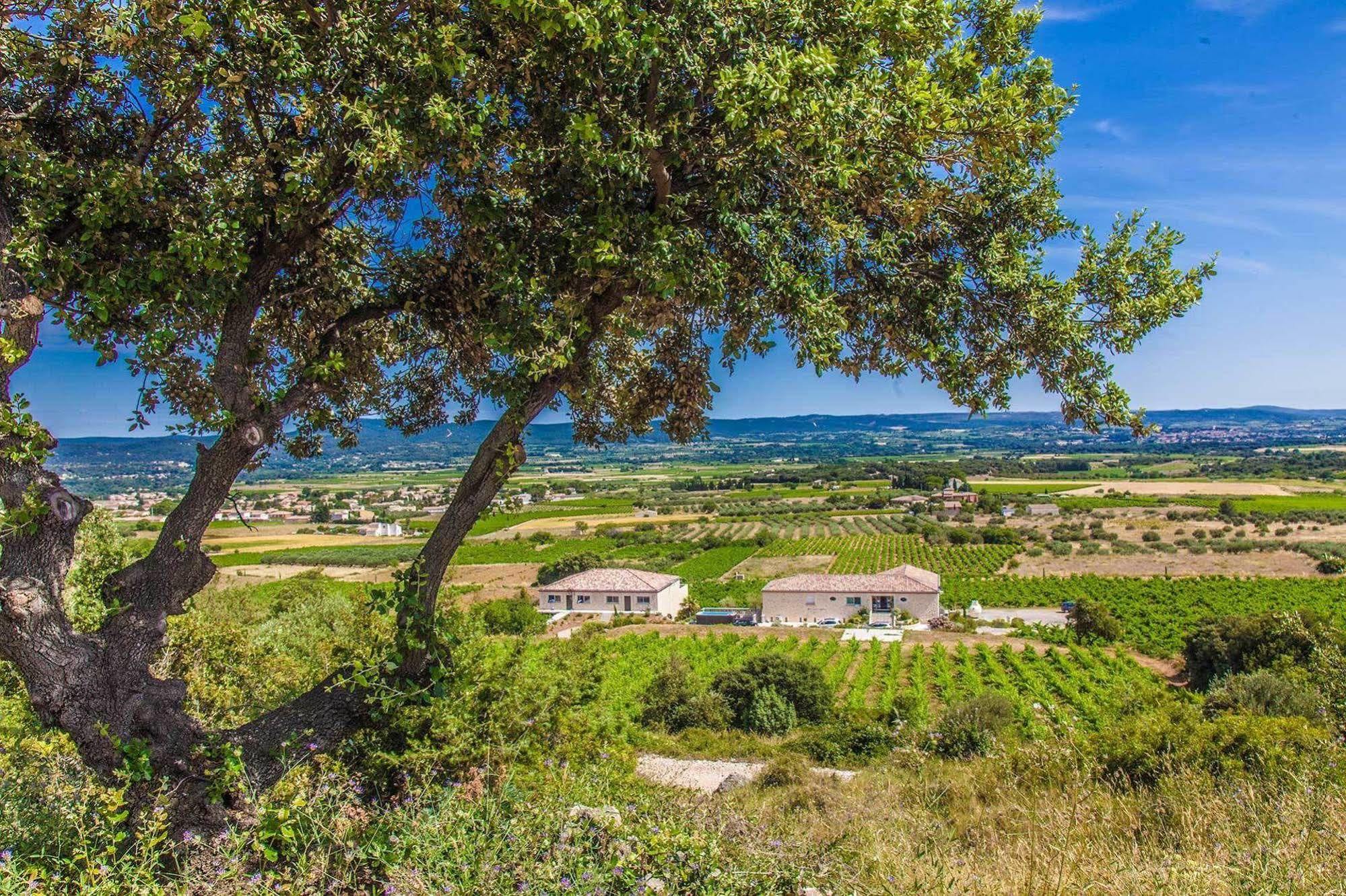 Chateau De Valloubiere Saint-Jean-de-Fos ภายนอก รูปภาพ