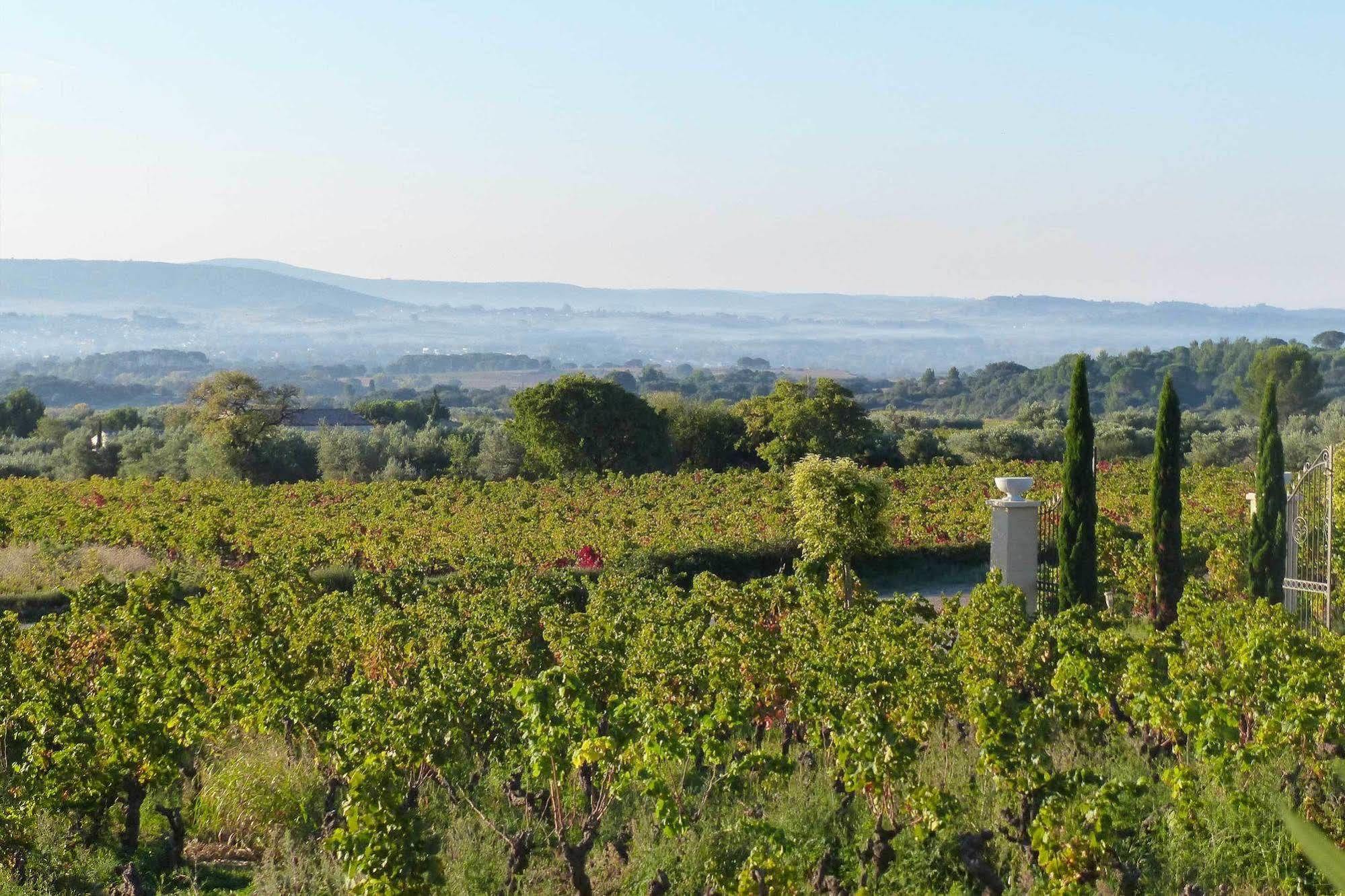 Chateau De Valloubiere Saint-Jean-de-Fos ภายนอก รูปภาพ